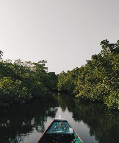 anton-lecock-LEpilI_K4fs-unsplash (1)